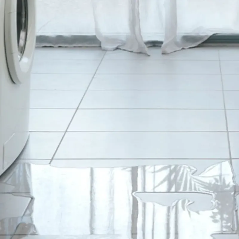 Appliance Leak Cleanup in Lima, NY