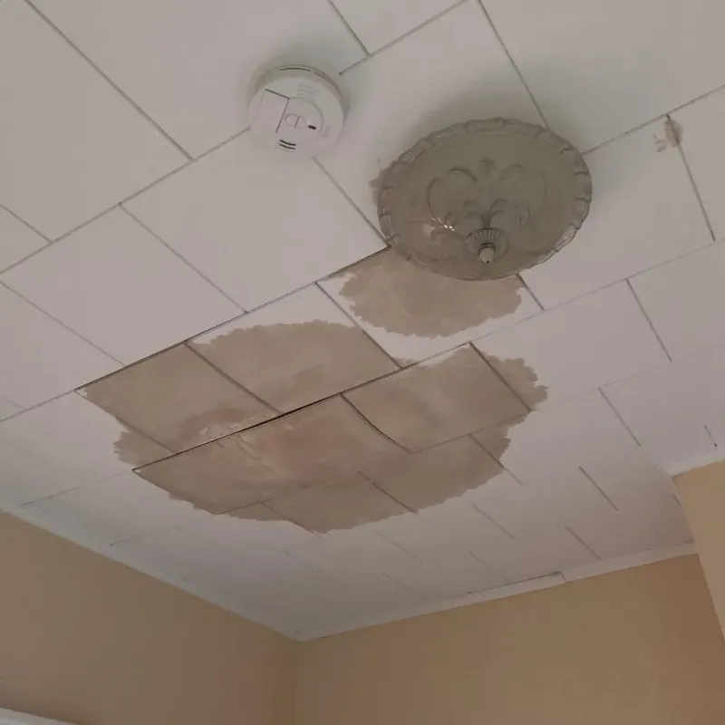 Ceiling Water Damage Repair in Lima, NY